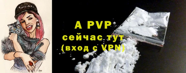 амф Богданович