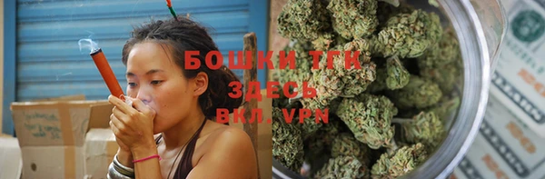 амф Богданович