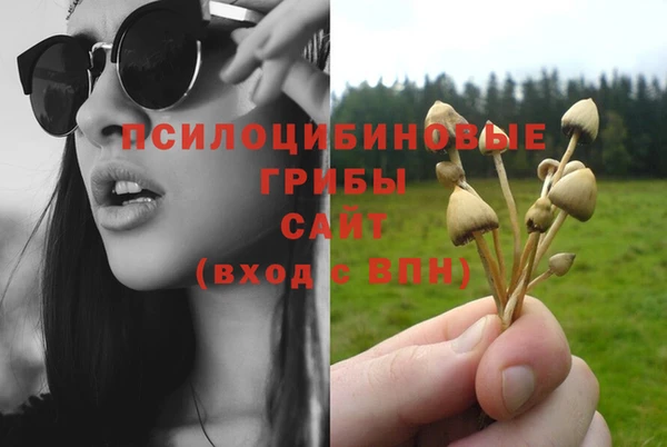 альфа пвп Богородицк