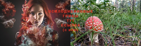 альфа пвп Богородицк