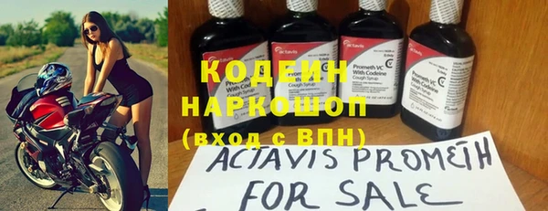 амф Богданович